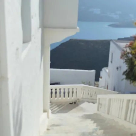 Tholari Project By S. דירה *